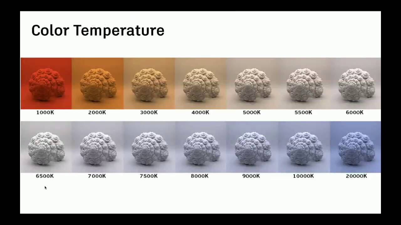 彩現必備 Arnold 線上培訓工作坊